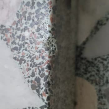 Servis Ekibi Hasar Verdi Müşteri Hizmetleri Sorumluluk Almadı