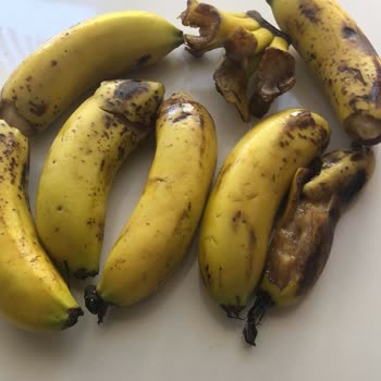 Migros Sanal Marketten Bozuk Meyve Ve Yetersiz Müşteri Hizmeti