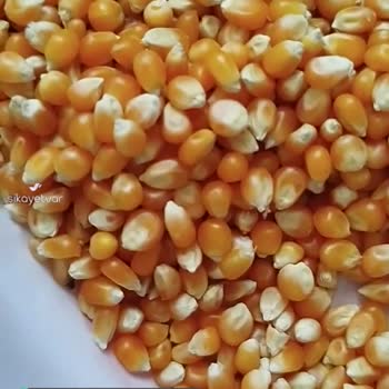 Halktan Kuruyemiş Kurtlu Ürünler