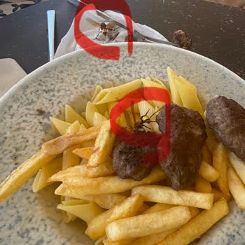 Otel Odasında Hijyen Eksikliği Ve Restoranda Arı Sorunu