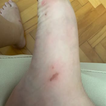 Bambi Mağazasında Hem Ürün Hem Hizmet Hayal Kırıklığı Yarattı