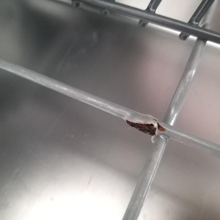 Bosch Bulaşık Makinesinde Paslanan Sepet Ve Yetersiz Garanti Desteği