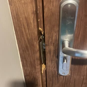 Kabus Gibi Tatil: Kötü Koşullar, İlgisizlik Ve Mağduriyet