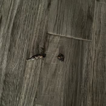 Kabus Gibi Tatil: Kötü Koşullar, İlgisizlik Ve Mağduriyet