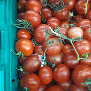 Şok Market'te Küflü Ürünler Ve Yetersiz Hijyen Sorunu