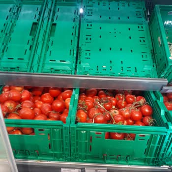 Şok Market'te Küflü Ürünler Ve Yetersiz Hijyen Sorunu