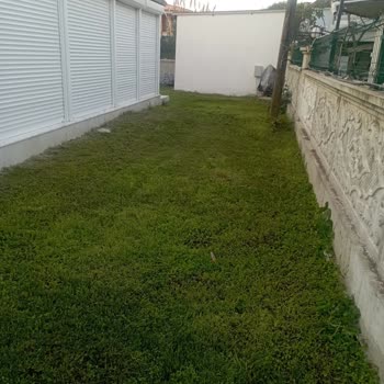 Proje Dışı Oda Büyütme Görüş Alanımızı Kapatıyor!