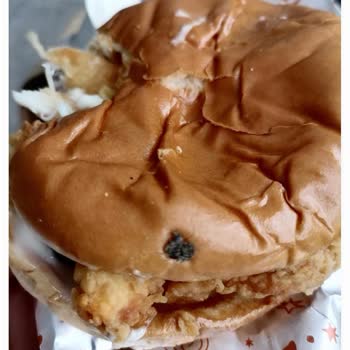 Popeyes'tan Aldığım Tavuk Menüde Hijyen Sorunu Ve Çözüm Eksikliği