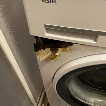 Çamaşır Makinesi Paslanma ve Kullanım Sorunu