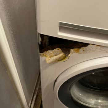 Çamaşır Makinesi Paslanma ve Kullanım Sorunu