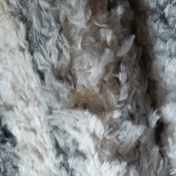 Kurtaran Halı Yıkama Halımın Üzerindeki ve Saçaklarındaki Tüm Lekeler Tamamen Duruyor