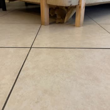 Setur Rezervasyonumda Yanlış Bilgi Ve Kirli Oda Mağduriyeti Yaşadım