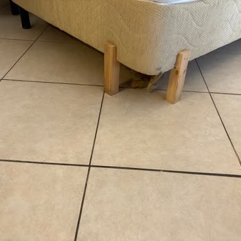 Setur Rezervasyonumda Yanlış Bilgi Ve Kirli Oda Mağduriyeti Yaşadım