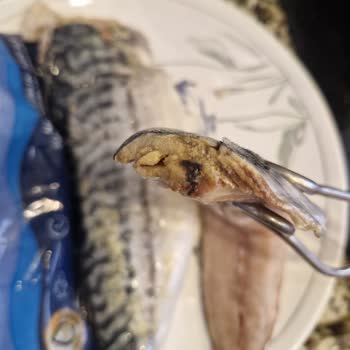 Yemeksepeti Market Bozuk Balık Teslimatı ve Müşteri Hizmetlerine Ulaşılamaması