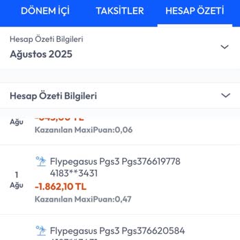 Pegasus'ta Mükerrer Bilet Ücreti İadesi Sorunu