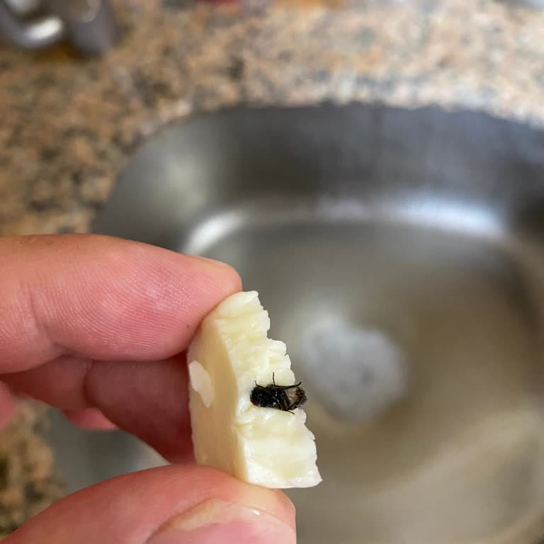 Peynirci Arif Peynirin İçinden Böcek Çıktı