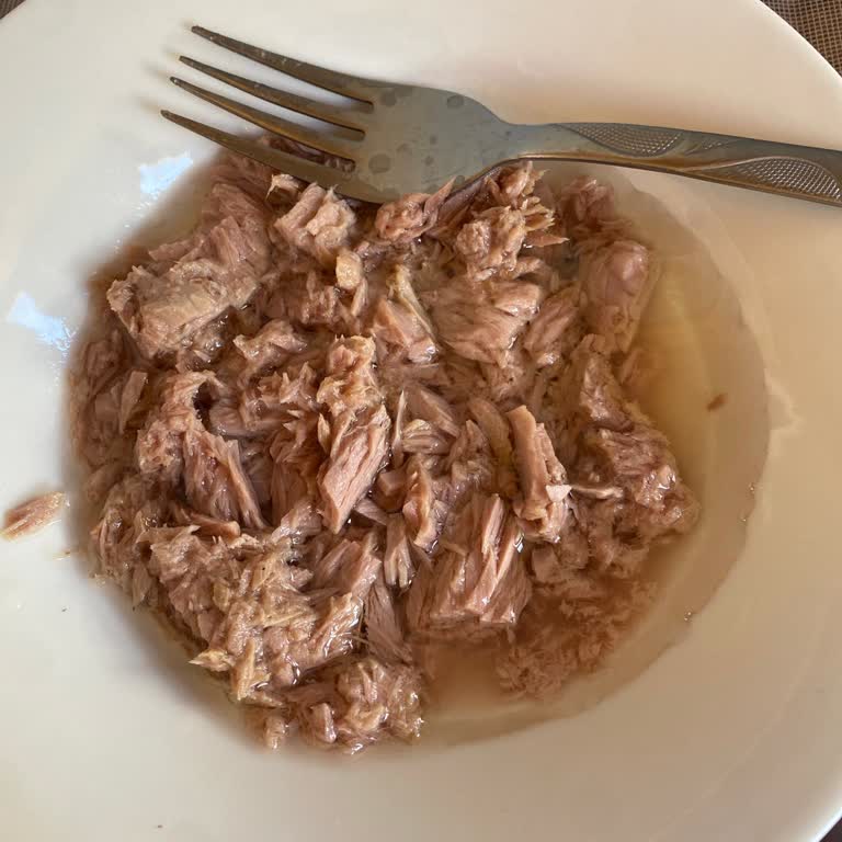 Ton Balık Kutusundan Aşırı Yağ Çıkması Ve İçerik Belirsizliği Mağduriyet Yarattı