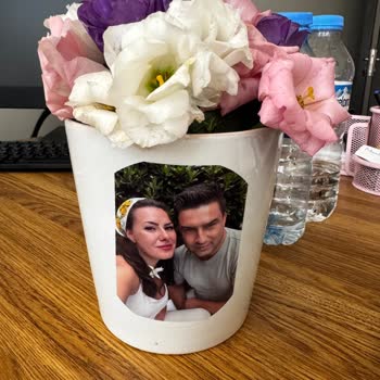 Kırık Ve Solgun Çiçek, Yetersiz Çözüm Süreci