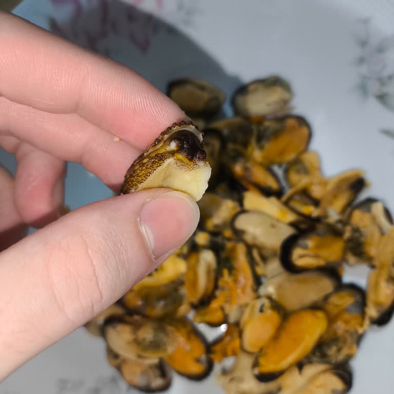 A101'den Alınan Midyelerde Temizlik Ve Hijyen Sorunu Yaşadım