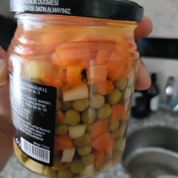 Tukaş Garnitürden Sinek Çıktı, Müşteri Hizmetleri Cevapsız Kaldı