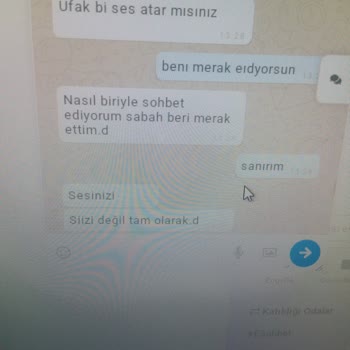Esohbet Sitesinde Öğretmen Olduğunu İddia Eden Kişinin Uygunsuz Davranışları