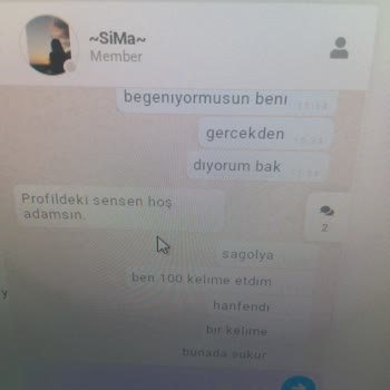 Esohbet Sitesinde Öğretmen Olduğunu İddia Eden Kişinin Uygunsuz Davranışları