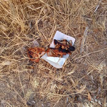 A101 Satın Aldığım Tavukta Yoğun Çamaşır Suyu Kokusu Ve Tadı