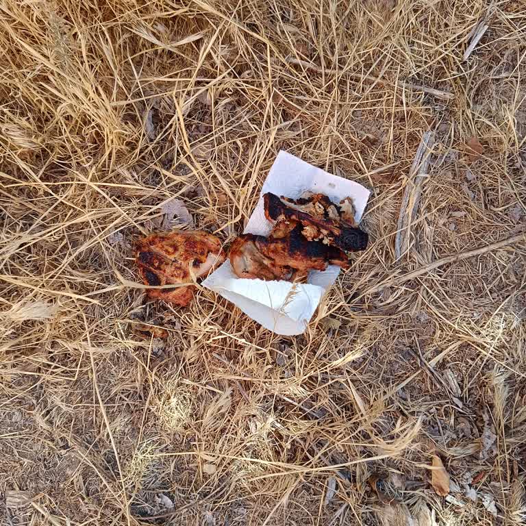 A101 Satın Aldığım Tavukta Yoğun Çamaşır Suyu Kokusu Ve Tadı