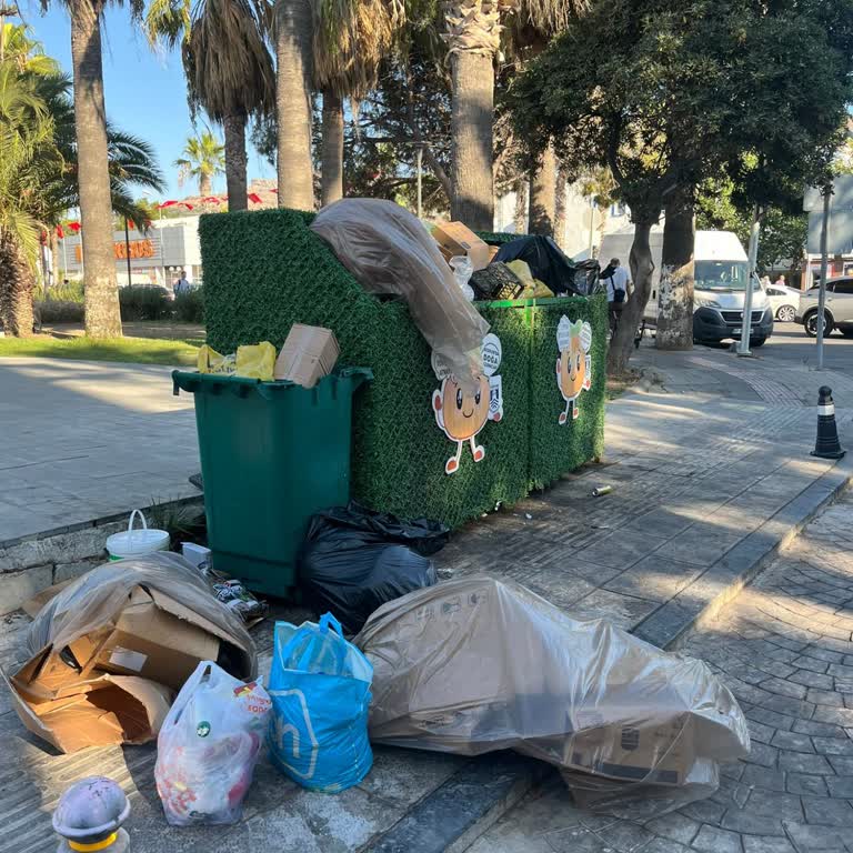 Bodrum'da Çöp Toplama Krizi: Sıcaklarda Koku Ve Sinek Sorunu