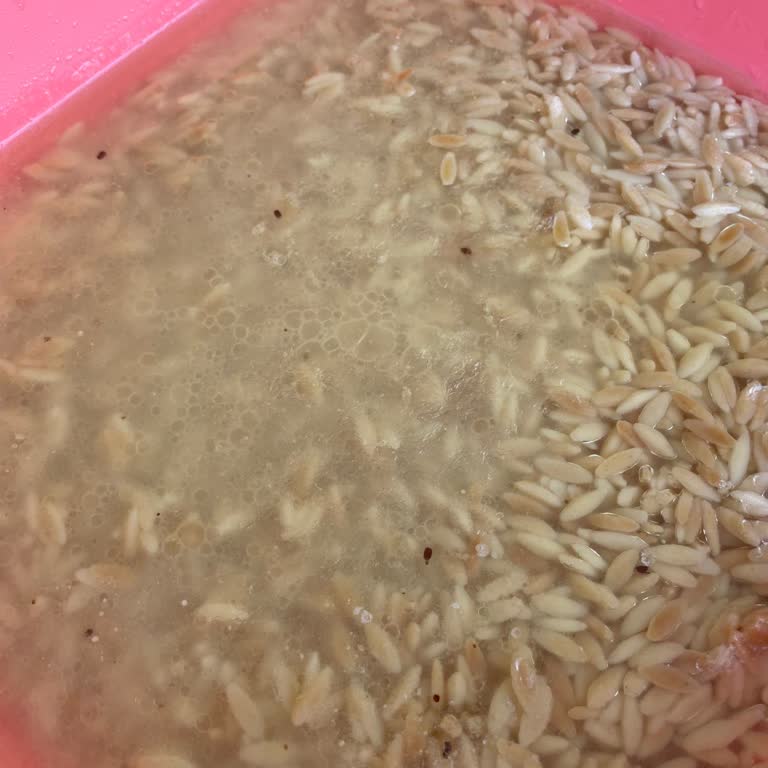 Son Kullanma Tarihi Geçmemiş Üründe Böcek Çıkması Hayal Kırıklığı Yarattı