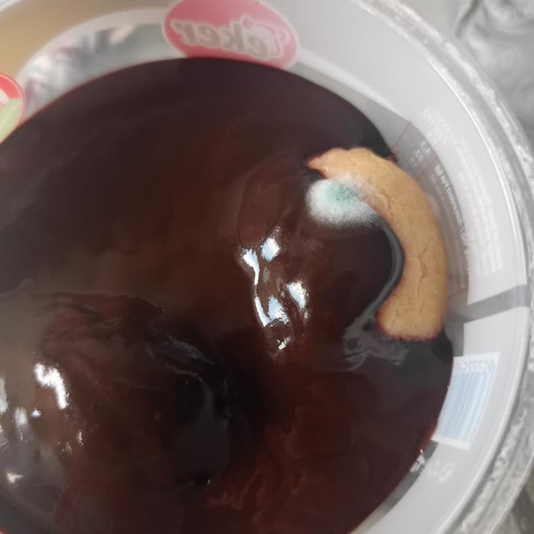 Son Kullanma Tarihi Geçmemiş Üründe Küf Şoku: Sağlık Ve Güven Endişesi