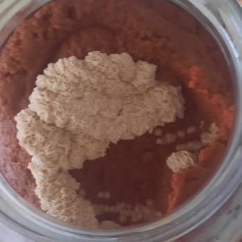 Tukaş Domates Salçası Kısa Sürede Küflendi Para İadesi Bekliyorum