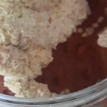 Tukaş Domates Salçası Kısa Sürede Küflendi Para İadesi Bekliyorum