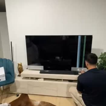 Philips Ambilight TV Arrived Defective - I Was Denied Replacement