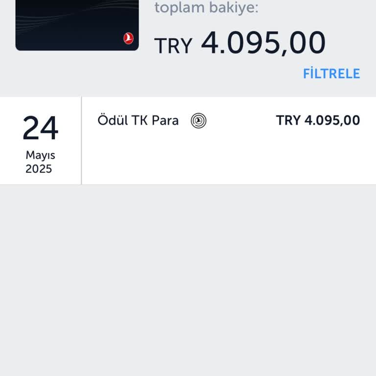 THY Bilet İptalinde Ücret İadesi Yerine TK Cüzdana Yatırıldı