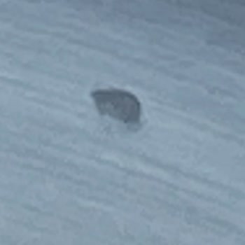 Xiaomi Smart Cooking Pişirme Haznesinde Göçük Oluştu Sağlık Riski Endişesi Yaşıyorum