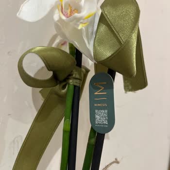 Ezilmiş Ve Yaprakları Dökülmüş Orkideye Çözüm Bulunmadı