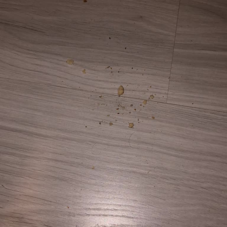 Servis Sonrası Süpürge Fırçası Arızası Devam Ediyor Müşteri Hizmetlerine Ulaşamıyorum