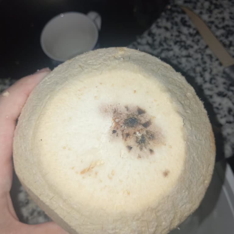 Küflü Ürün Ve Yetersiz İade Süreci Hayal Kırıklığı Yarattı