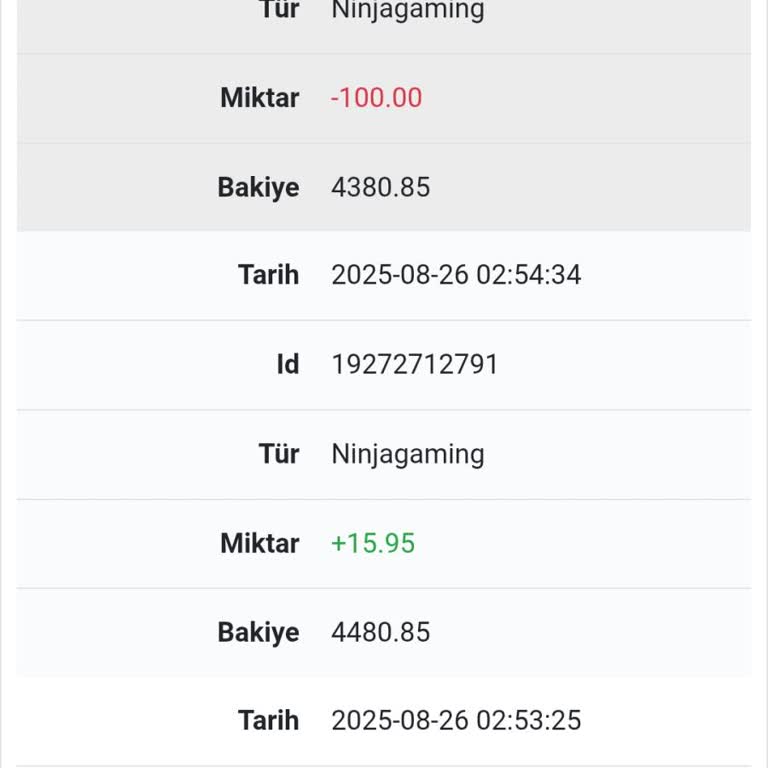 Hesabımdaki 4500 TL Bakiyem Sebepsizce Silindi Ve Destek Alamadım