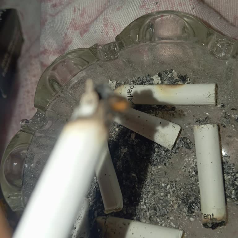 Parliament Sigara Paketlerinde Tekrar Odun Parçası Çıkması Güvenimi Sarstı