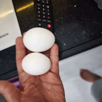Büyük Boy Diye Satılan Yumurtalar Küçük Çıktı, Açıklama Ve Telafi Bekliyorum