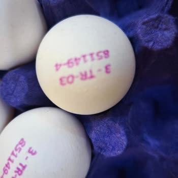 Büyük Boy Diye Satılan Yumurtalar Küçük Çıktı, Açıklama Ve Telafi Bekliyorum