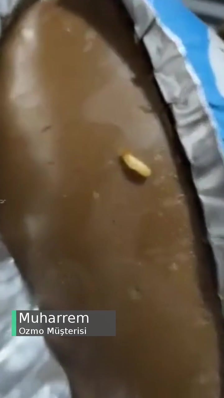 Şölen ( Ozmo ) Yumurta Ürününde Kurtlu Çikolata videonun kapak resmi