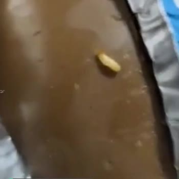 Şölen ( Ozmo ) Yumurta Ürününde Kurtlu Çikolata