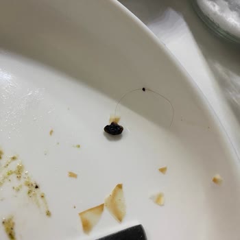 Metro Chef Katmer Ve Çiğköfte Ürünlerinde Yabancı Cisim Ve Kıl Sorunu