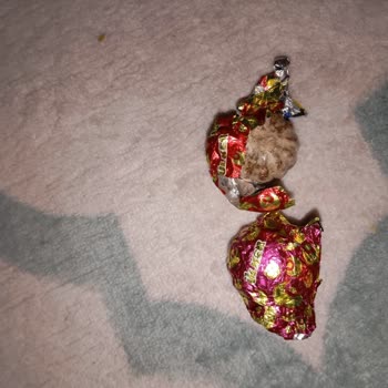 Bayramda Aldığım Çikolataların Bozuk Çıkması Ve Müşteri Hizmetlerine Ulaşamamak