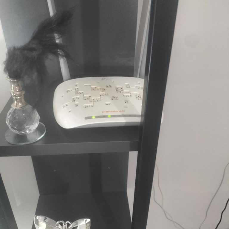 Bir Haftadır İnternet Yok Müşteri Hizmetlerinden Dönüş Alamıyorum