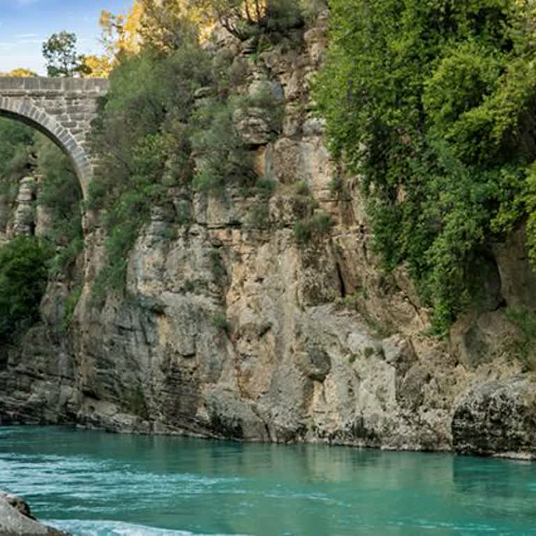 ZyXEL Modem Çekim Sorunu Ve Müşteri Hizmetlerinden Destek Alamama