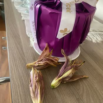 Eki aç